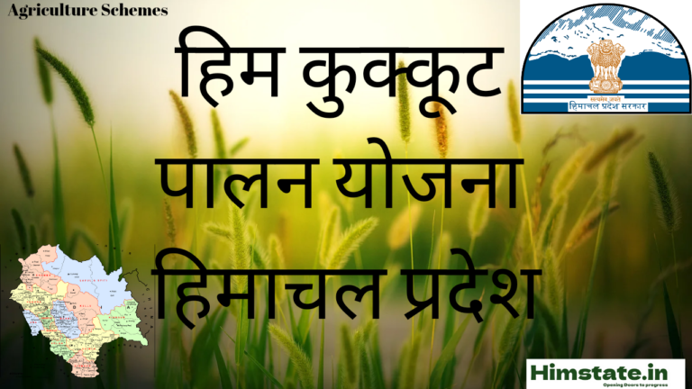 Him Kukkut Palan Yojana himachal Pradesh (HIMKUPY) की संपूर्ण जानकारी