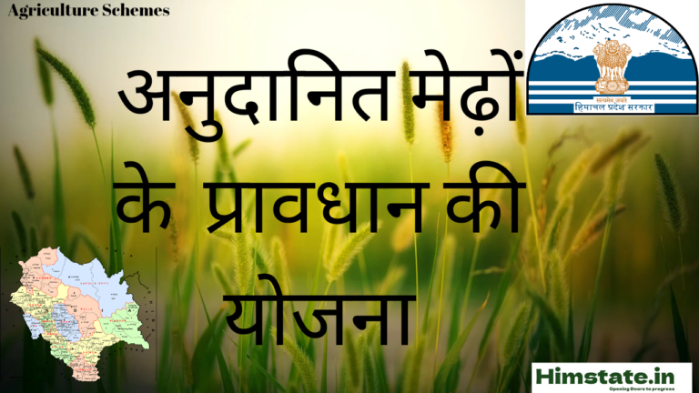 Scheme of provision of subsidised Rams to sheep breeders himachal Pradesh की संपूर्ण जानकारी