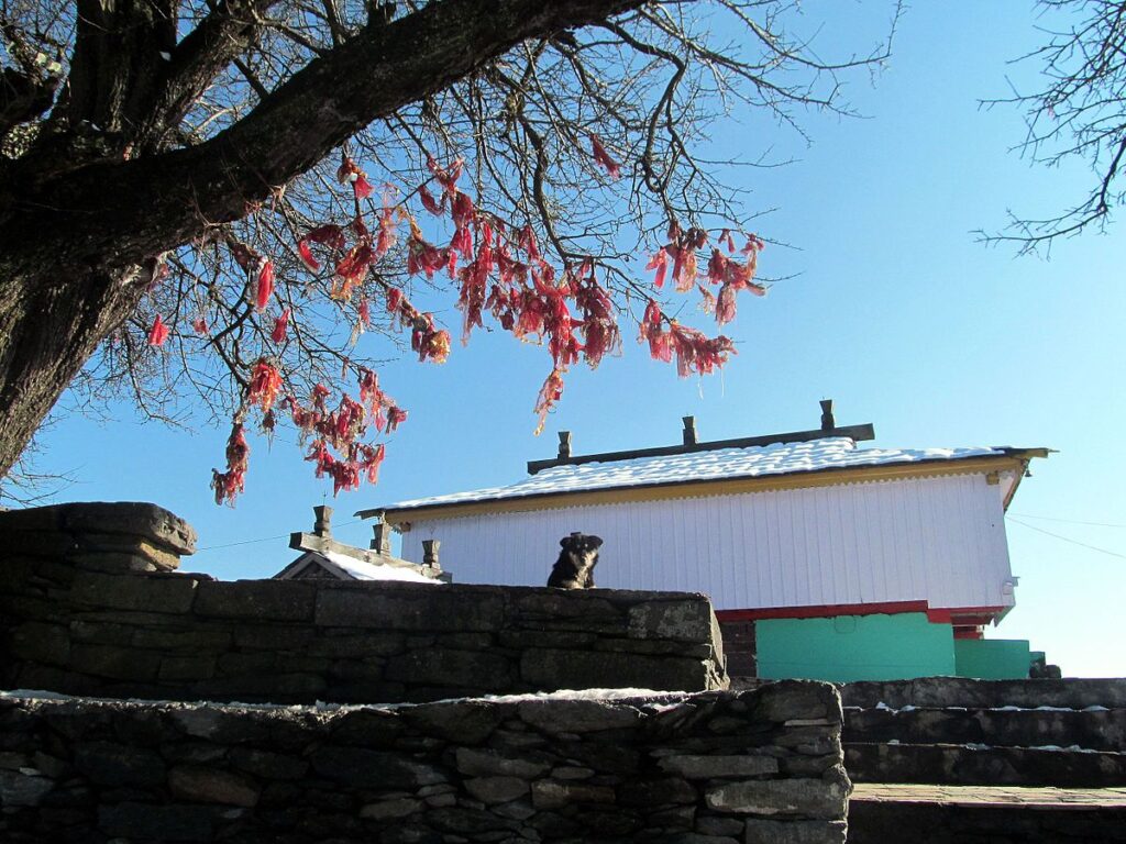 A tree with red leaves in front of Bijli Mahadev Temple